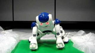 Nao Robot Get Up routine [upl. by Annahsad814]