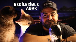 KEDİLERİMLE ASMR 🐈 😻 🐈‍⬛  KEDİ MUKBANG  ASMR [upl. by Orhtej845]