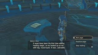 TLoZ Breath of the Wild Wii U  DLC  EX Champion Miphas Song 55  Miphas Diary [upl. by Pulsifer173]