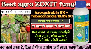 Zoxit fungicide best agro zoxit fungicide Azoxistrobin 11  Tebuconazole 183SC best fungicide [upl. by Padraig607]