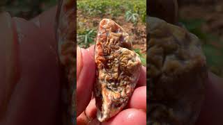 Finding Natural Chalcedony Carnelian Agate Gemstones At Mountain Unbelievable Find Episode 21 [upl. by Entirb]