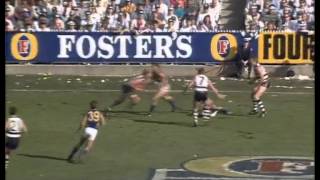 1992 AFL Grand Final West Coast vs Geelong [upl. by Aisatsana606]