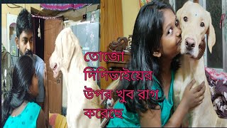 বাড়িতে বান্ধবী এসেছিল অনেক মেনু হয়েছে।তোজো দিদি ভাইয়ের ওপর রেগে গেছে খুবviralvideo doglover [upl. by Demaria649]