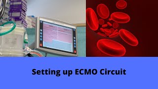 Setting up ECMO Circuit [upl. by Timothy]