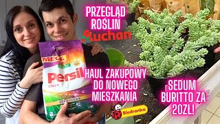 Haul zakupowy do nowego mieszkania 🐞 Przegląd roślin w Auchan 🪴Domowy VLOG 🌱 Gosia i Miłosz Vlog [upl. by Caspar]