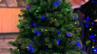 Santas Best 75 Colorado Spruce Tree w EZ Power amp 7 Light Functions with Lisa Robertson [upl. by Kip]