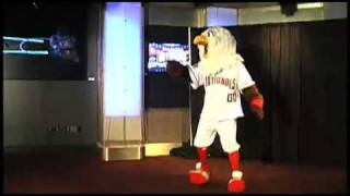 Nationals mascot busts a few moves at his reintroduction [upl. by Ellenehs]