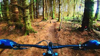 Guide to Callendar Estate MTB trails near Falkirk All year round XC trails and some off piste too [upl. by Nnayllehs]