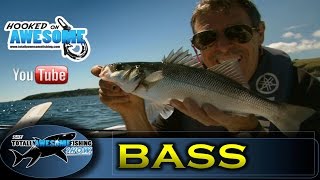 BASS FISHING with SOFT PLASTIC LURES TAFishing Show [upl. by Kopp351]