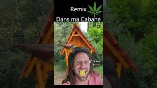 Dans ma Cabane Remix [upl. by Ringler]