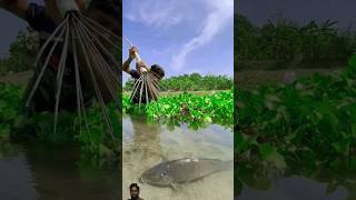 fishfishingbigcarpfishspeciesfishinglife [upl. by Adnhoj]