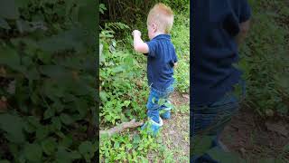 Wineberry amp Raspberry Picking With Kids [upl. by Tewfik]