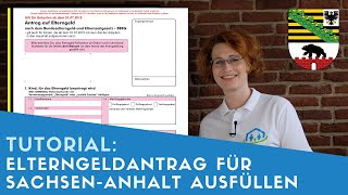 ▶ Elterngeldantrag für SachsenAnhalt ausfüllen  Tipps [upl. by Ezana343]