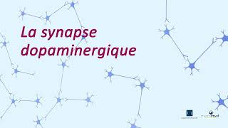 S3E3A La transmission synaptique dopaminergique contrôle Constance Hammond [upl. by Honniball]