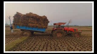 Kubota MU 5502 4wd Tractor On Full Loaded Trolley Performance  Full Loaded Trolley In Mud Kubota [upl. by Maidie]