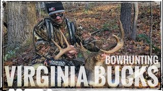 Bowhunting Whitetail Deer Big Virginia Buck Goes Down 136quot Giant [upl. by Bahner]