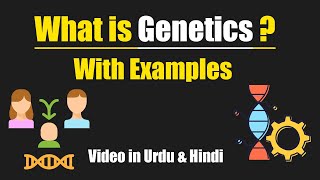 What is Genetics with Examples Urdu  Hindi [upl. by Naujek]