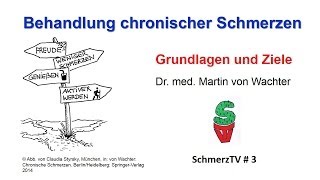 Behandlung chronischer Schmerzen  Grundlagen und Ziele [upl. by Ashly]