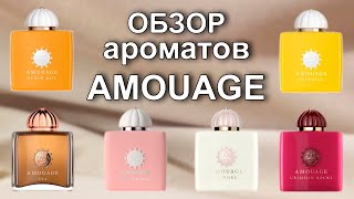 Большой обзор ароматов Amouage [upl. by Kwan43]