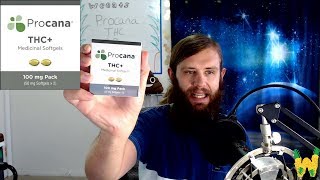 Marijuana Edible Review Procanna Capsules 100 mg [upl. by Martinson]