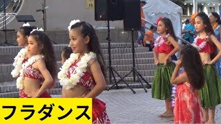 フラダンス TEAM BLENDA 浜松どまんなか祭り2024 [upl. by Nikolaus]