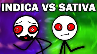 INDICA VS SATIVA [upl. by Lenrow239]