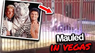 The Terrifying Footage Of Vegas Performers Siegfried And Roy [upl. by Aieken968]