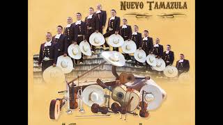 Mariachi Nuevo Tamazula5Cd Completo [upl. by Yarb]