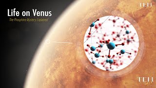 Life on Venus The Phosphine Mystery Explained [upl. by Abbye]