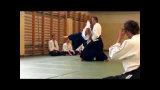 Matti Joensuu 6 dan Aikido seminar Balaton 2014 [upl. by Zuliram]