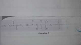 BIOSINTESIS DE ACIDOS GRASOS parte3 [upl. by Enrica]