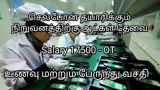 💥 ஆட்கள் தேவைMobile Company17500Chennai job vacancy 2024 tamilChennai Jobs Today Openings [upl. by Starinsky]