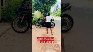 අදරේටනෙ ගහන්නෙ 😁❤️‍🩹 r1automobile lankanbike srilanka japanbike rider bus coking ytshorts [upl. by Anastos17]