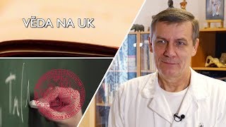 Věda na UK ortoped prof Jan Bartoníček [upl. by Pelpel]