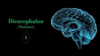 Introduction of diencephalon and thalamus Prof Ashfaqur Rahman [upl. by Babara]