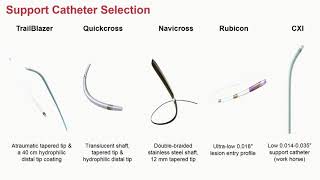 WireCatheter vs CTO Crossing Devices  Subhash Banerjee MD [upl. by Virg]