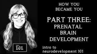 intro to neurodevelopment 101 Part 3 implantation gastrulation neurulation neurogenesis  s1e8 [upl. by Euqinmod]