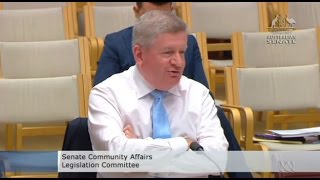 quotWhats mansplainingquot Senator Mitch Fifield offended by Senator Katy Gallaghers allegation [upl. by Usanis]