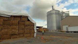 Grass to gas new frontiers in growing biofuels  This American Land 305 [upl. by Aciraa987]