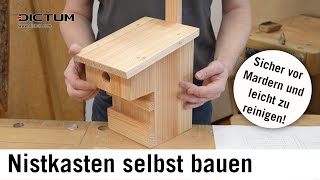 Mardersicheren Nistkasten selbst bauen – Bauplan und Anleitung im Blog [upl. by Geraint517]