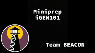 iGEM101 Lab How to miniprep biology igem [upl. by Bernadine]