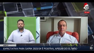 Safra de arroz 20232024 traz grandes desafios para os produtores [upl. by Doralynn247]