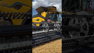 New Holland CR 11 NextGen landwirtschaft newholland belgien zedelgemagricultureeastgermany [upl. by Proctor]