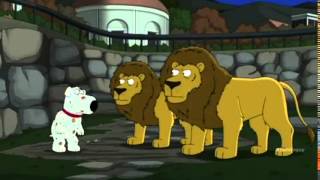 Family Guy Brian Jokes about the Detroit Lions [upl. by Forrester]