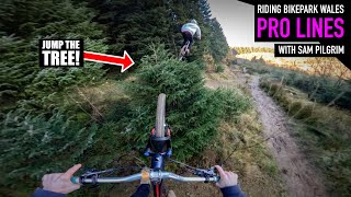 RIDING PRO LINES AT BIKEPARK WALES WITH SAM PILGRIM [upl. by Hollenbeck]