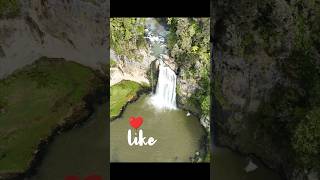 Hunua fallsHunua falls New Zealand 🌊💧shorts hunuafalls youtubeshorts [upl. by Atinuaj555]