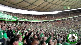 DFBPokal 2015 Finale Borussia Dortmund vs VfL Wolfsburg [upl. by Gardie]