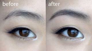 Basics Perfect Brows Tutorial [upl. by Lesde]