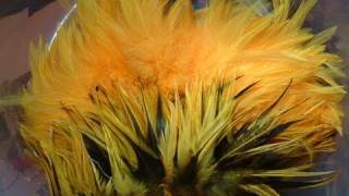 How to Dye Feathers Sunburst with Davie McPhail [upl. by Arreik]