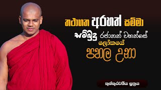 කුක්කුරවතීය සූත්‍රය  gosinga wana arana  ven kebithigollawe amarathissa thero [upl. by Lopes388]